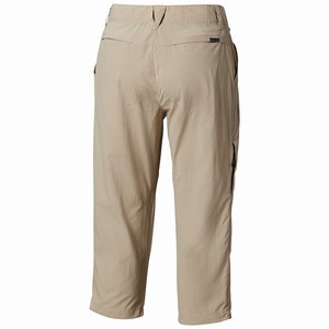 Columbia Silver Ridge™ 2.0 Capri Dam Khaki (QNTLZ0458)